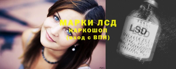 PSILOCYBIN Балабаново