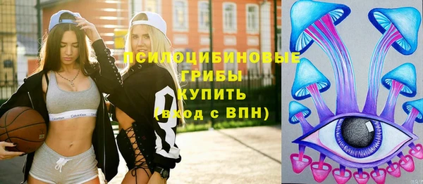 гашик Армянск