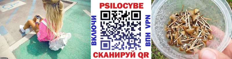 Псилоцибиновые грибы Cubensis  Белая Холуница 
